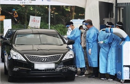 Giới chuyên gia Hàn Quốc, Nhật Bản kiến nghị thắt chặt các biện pháp phòng dịch