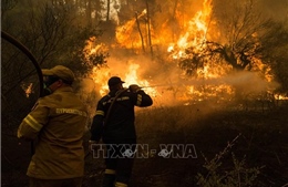 Hy Lạp đã khống chế được các đám cháy rừng kéo dài 9 ngày qua