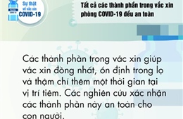 Tất cả các thành phần trong vaccine phòng COVID-19 đều an toàn