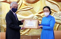 Trao tặng Điều phối viên thường trú Liên hợp quốc tại Việt Nam kỷ niệm chương hữu nghị
