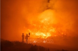 Cháy rừng tại nhiều nước do nắng nóng