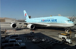Korean Air sẽ ngừng sử dụng máy bay cỡ lớn trong 10 năm tới