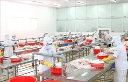 TP Hồ Chí Minh phối hợp phòng, chống dịch và duy trì sản xuất kinh doanh