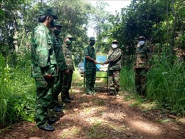 Bộ đội Biên phòng Gia Lai tăng cường phối hợp bảo vệ biên giới