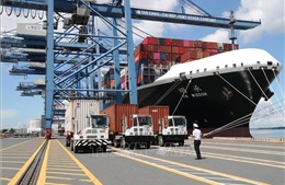 Hàng container qua cảng biển giữ đà tăng trưởng cao