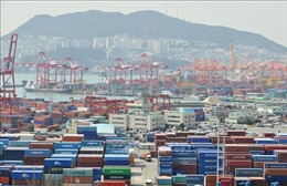 Xuất khẩu chững lại ảnh hưởng ra sao tới tăng trưởng của kinh tế Hàn Quốc?