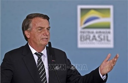 Brazil: Đương kim Tổng thống Jair Bolsonaro chính thức tái tranh cử