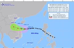 Chủ động ứng phó bão số 5 trong bối cảnh dịch COVID-19