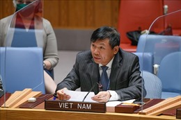 Việt Nam kêu gọi các bên liên quan tại Yemen nối lại đối thoại