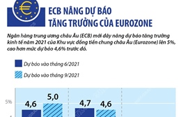 ECB nâng dự báo tăng trưởng của Eurozone