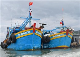 Bà Rịa-Vũng Tàu khôi phục hoạt động các cảng cá, tàu cá 