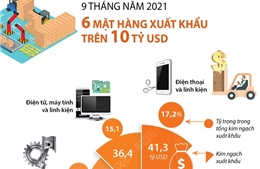 6 mặt hàng xuất khẩu trên 10 tỷ USD