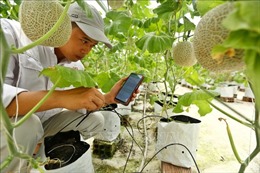 Australia và Việt Nam có nhiều cơ hội hợp tác phát triển nông nghiệp công nghệ cao
