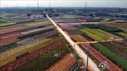 Huyện Văn Giang (Hưng Yên) hoàn thành xây dựng xã nông thôn mới nâng cao