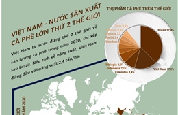 Việt Nam là nước sản xuất cà phê lớn thứ 2 thế giới