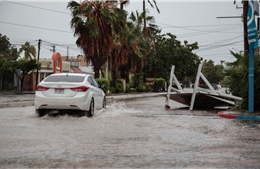 Bão Pamela gây mưa và gió giật mạnh ở Mexico