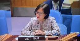 Việt Nam hoan nghênh bổ nhiệm các đặc phái viên của Liên hợp quốc về Tây Sahara