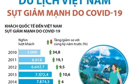 Du lịch Việt Nam sụt giảm mạnh do COVID-19