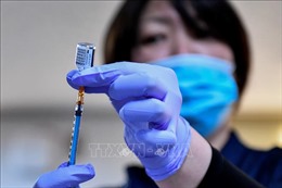 Nhật Bản có thể cấp phép lưu hành vaccine nội địa vào đầu năm sau