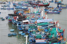 Ninh Thuận nghiêm cấm tàu thuyền ra khơi, hoạt động trên biển