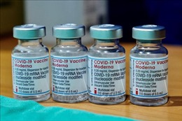 Moderna xin cấp phép tiêm mũi vaccine tăng cường tại Nhật Bản