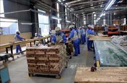 Doanh nghiệp chế biến gỗ tìm cách thu hút lao động