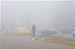 Hàng trăm chuyến bay bị ảnh hưởng do sương mù dày đặc ở thủ đô Moskva