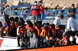 Italy giải cứu gần 560 người di cư trên biển