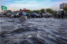 Khu vực ven biển Đông Nam Bộ đề phòng ngập úng do triều cường