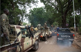 Mali bắt giữ cựu quan chức an ninh tiến hành đảo chính