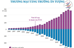 15 năm Việt Nam được kết nạp là thành viên của WTO: Thương mại tăng trưởng ấn tượng