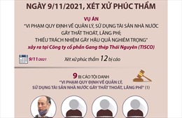 Xét xử phúc thẩm vụ Công ty Gang thép Thái Nguyên