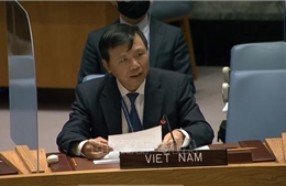 Việt Nam ủng hộ hoạt động gìn giữ hòa bình và cảnh sát Liên hợp quốc