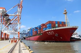 15 năm gia nhập WTO: Mở cánh cửa để kinh tế Việt Nam vươn ra biển lớn
