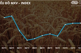 Bản tin MXV 16/11: Nông sản vẫn hút dòng tiền