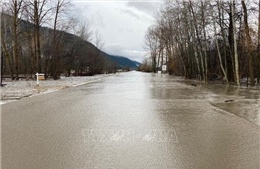 Canada: Thành phố Vancouver chịu ảnh hưởng nặng nề do mưa lớn 