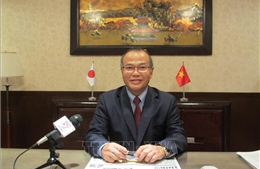 Đại sứ Vũ Hồng Nam: Quan hệ Việt-Nhật vẫn phát triển mạnh mẽ bất chấp đại dịch