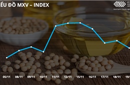 Bản tin MXV tuần 15 - 21/11: Thị trường hàng hóa biến động mạnh