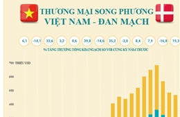 Thương mại song phương Việt Nam - Đan Mạch