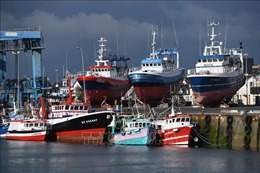 Pháp tạm thời cấm đánh bắt cá ở Vịnh Biscay