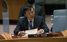 Việt Nam ủng hộ Liên hợp quốc cải tổ Hội đồng Bảo an