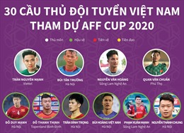 Danh sách đội tuyển Việt Nam tại AFF Cup