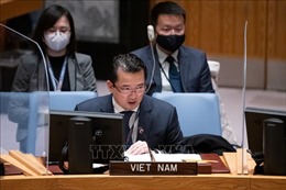 Việt Nam tái khẳng định cam kết thực hiện các Nghị quyết của HĐBA về chống khủng bố và phổ biến vũ khí hủy diệt hàng loạt