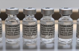 Giới chuyên môn Đức, Áo bác bỏ &#39;thuyết âm mưu&#39; liên quan việc tăng hạn sử dụng vaccine 
