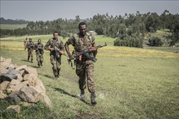Quân đội Ethiopia giành lại các thị trấn chiến lược
