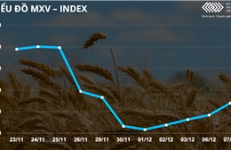 Bản tin MXV ngày 8/12: Thị trường kim loại hồi phục mạnh mẽ