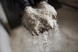 Thái Lan còn tồn kho 220.000 tấn gạo chất lượng thấp