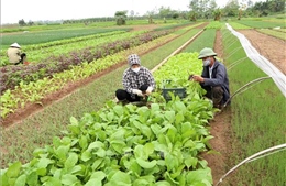 Xây dựng đối tác xanh cho nền nông nghiệp mới
