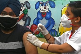 Ấn Độ cho phép thử nghiệm vaccine Covovax ngừa COVID-19 làm mũi tiêm tăng cường 