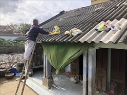 Ứng phó bão số 9: Huyện Lý Sơn (Quảng Ngãi) di dời 172 hộ dân đến nơi an toàn 